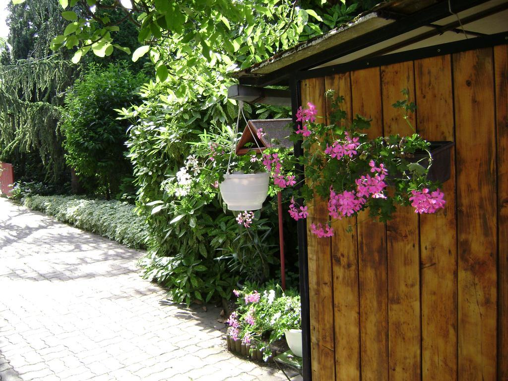 Muskatli Vendeghaz Bed and Breakfast Hévíz Εξωτερικό φωτογραφία